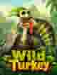 Wild Turkey